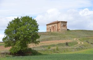 D´OLALLA TA CUTANDA Sabinars y barallas en o pedero d’a Sierra de Fonfría