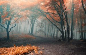 Cantonada poetica: Poemas d’agüerro
